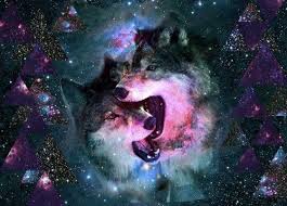images (3)