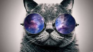 images (7)